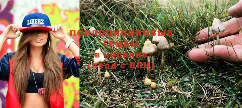 Псилоцибиновые грибы MAGIC MUSHROOMS  как найти закладки  даркнет официальный сайт  Новозыбков 